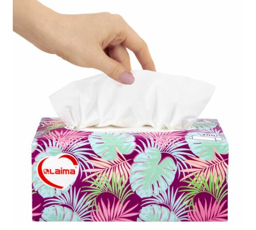 Салфетки косметические 200 шт. в картонном боксе 2-слойные, LAIMA 