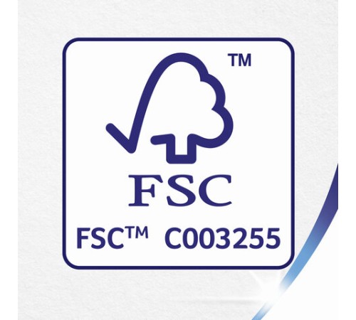 Бумага туалетная 3-х слойная 12 рулонов (12х18 м), белая, ZEWA Deluxe, 144029