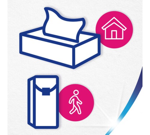 Салфетки косметические 2-слойные в картонном коробе, 250 штук, ZEWA Everyday, 8679