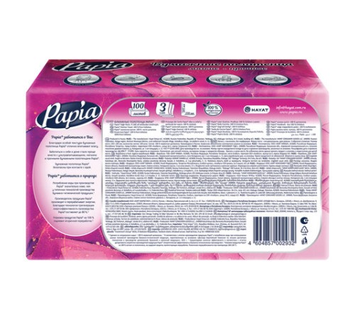 Полотенца бумажные (1 пачка – 100 листов), PAPIA (H3), UNIT PACK, 3-слойные, 23х20,5 см, V-сложение, 5090823