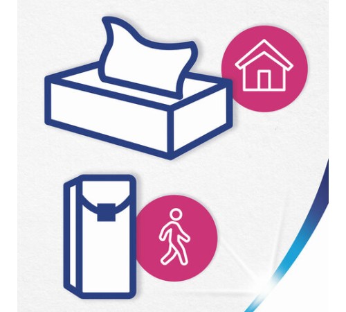 Салфетки косметические 100 штук в картонном боксе, 2-слойные, ZEWA Everyday, 24516, 6286