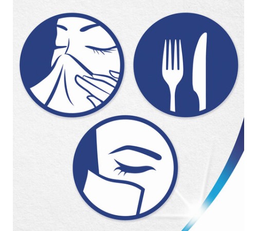 Салфетки косметические 100 штук в картонном боксе, 2-слойные, ZEWA Everyday, 24516, 6286