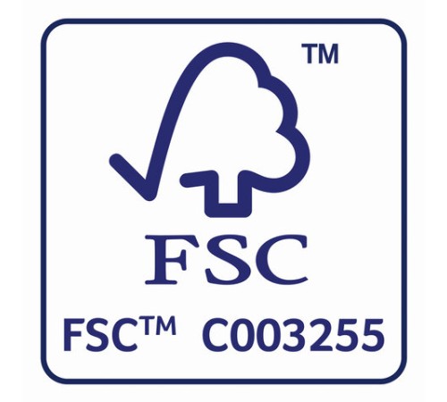 Платочки бумажные носовые ZEWA Deluxe 3-слойные, СПАЙКА 10 пачек по 10 шт., 21х21 см, 51174