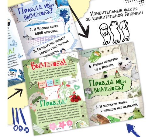 Книга «Правда или ложь. 24 факта о Японии», А5, Аниме